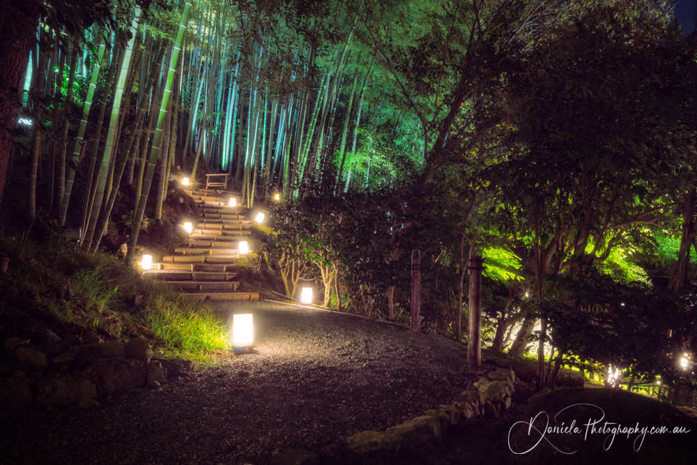 Kyoto An illuminated path at the bamboo forest in the tranquil gardens of Kodaiji Temple
